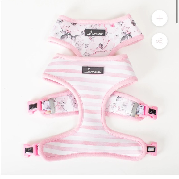 Cavology Reversible harness and leash - Picture 1 of 5